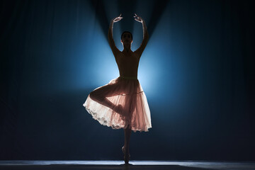 Elegant, graceful, slim female dancer, ballerina dancing over dark blue background with spotlight. Silhouette