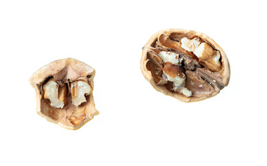 Walnut kernels isolated on white background with clipping path. Top view