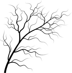 Silhouette of leafless tree graphic element design on white background. - obrazy, fototapety, plakaty