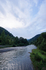 Summer landscape with stream river in green forest