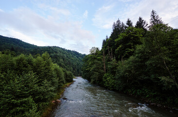 Fototapeta na wymiar Summer landscape with stream river in green forest