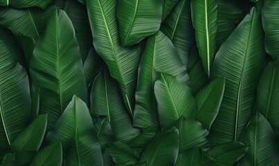 Palm leaves textured wallpaper. Creative abstract surface banner. For postcard, book illustration, card.