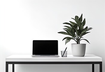 Fototapeta premium desk with laptop