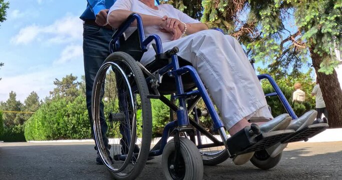 Disabled person in a wheelchair accompanied by a man on a walk.