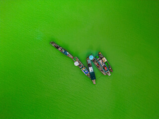 Aerial view of Ben Nom fishing village, a brilliant, fresh, green image of the green algae season on Tri An lake, with many traditional fishing boats anchored.