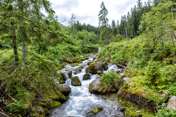 View with a flowing mountain river between grass and rocks in the Tatras