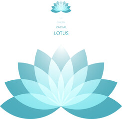 Blue Green Radial Lotus