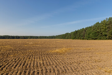 A plowed field with fertile soil for agricultural activities