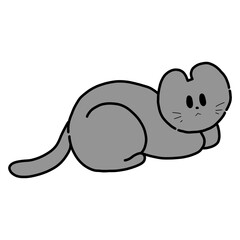 Gray cat