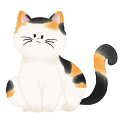 Calico cat