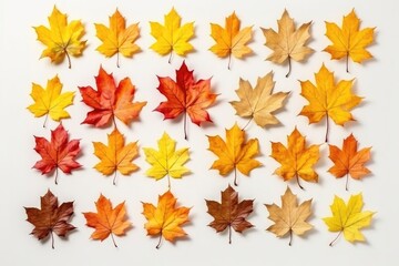 Group of isolated colorful autumn leaves on a white background