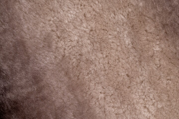 a close-up of a part of a fur coat made of sheepskin