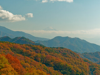 清里・八ヶ岳高原大橋から南を見た紅葉の峡谷と富士山