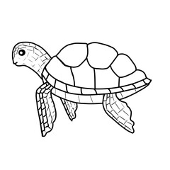 turtle lined design.
