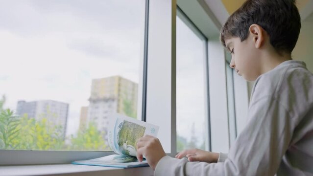 Smiling little student reading a book in front of the window