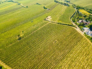 Fototapeten An aerial panorama of Vienna Nussdorf with vineyards rows © MysteryShot