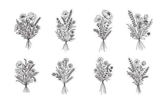Set of flower bouquet vector. Hand drawn flower. Wildflower line art bouquets set, wild plant, botanical vector illustration