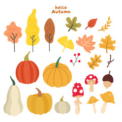 Autumn collection illustration. Banner, vector, leaves, nut, tree, mushroom and pumpkin with Autumn color.