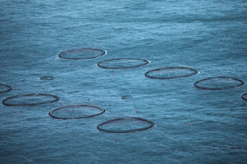 Purse seine nets in the Atlantic ocean near Faroe Islands - obrazy, fototapety, plakaty