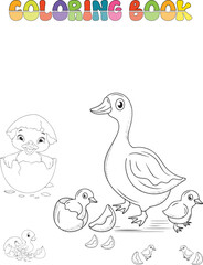 duck and ducklings coloring book pages, Baby ducks coloring book for kids 
