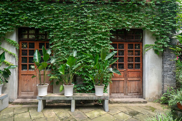 Fototapeta na wymiar A wall full of plants in the courtyard