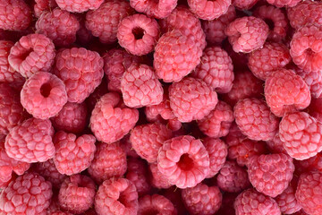 Fresh raspberry background close up photo.Flet ley.  © Olivka888
