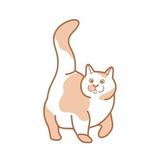 Image of a can on walk. Cat icon. Icon for Instagram highlights, stories, websites, other social networks.