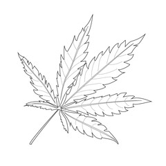 Marijuana leaf. Coloring. Black outline on a white background.
