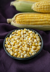 Corn advertising poster image, fresh corn on cob with seeds isolated on purple background