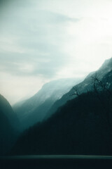 mountains in the fog