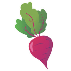 Beet root.Red beet with green leaves. Vegetable of farm product.Isolated on white background.Vector flat illustration.