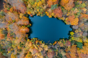 A lake in a forest on an autumn day. All leaves are variegated in all colors. View from a drone.