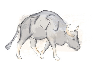 A bull walking vector watercolor exotic Gaur animal