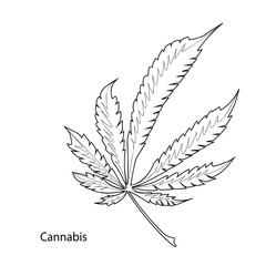 Obraz premium Marijuana leaf. Coloring. Black outline on a white background. 