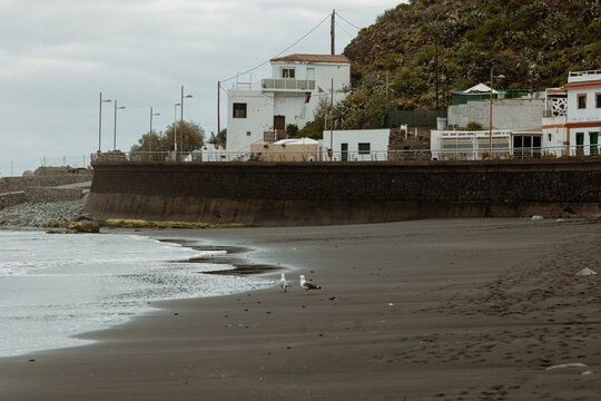 houses behing the beach 