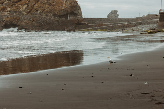 beach in the morning