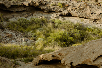 Fototapeta na wymiar stone wall with moss and rocks