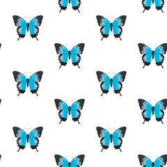 Vector seamless pattern of butterflies. Vector butterfly papilio ulysses. Buttrerfly and insept on white background. Blue butterfly.