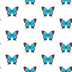 Meubelstickers Vlinders Vector seamless pattern of butterflies. Vector butterfly papilio ulysses. Buttrerfly and insept on white background. Blue butterfly.