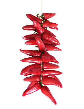 Piments d'Espelette / Espelette pepper (Capsicum annuum) - Fond transparent	
