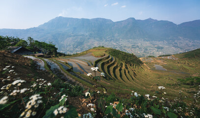 Rice terraces during sunset overlooking the mountain valley in Sapa, Vietnam