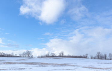 Obraz na płótnie Canvas Country winter landscape