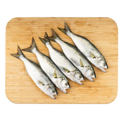 raw bluefish on a board