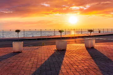 Obraz premium picturesque view of sunrise or sunset landscape on a sidewalk with pavement and sea promenade with three flower pots with small trees
