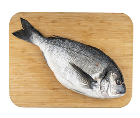 sea chupra on a board