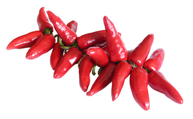 Piments d'Espelette / Espelette pepper (Capsicum annuum) - Fond transparent	
