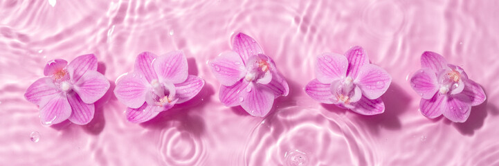 Orchid flowers are floating, stains from a drop on the water
