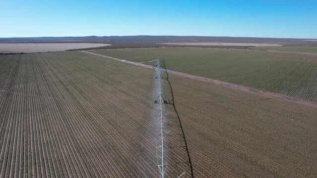 Drone video flying low over center pivot irrigation system as it waters a vast field of crops