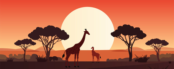 Fototapeta na wymiar Silhouettes of wild African giraffes at sunset. Safari. Vector illustration.