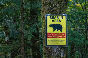 Squamish, BC, Canada-October 10, 2019: Sign warning that there is a bear in the area affixed to a...